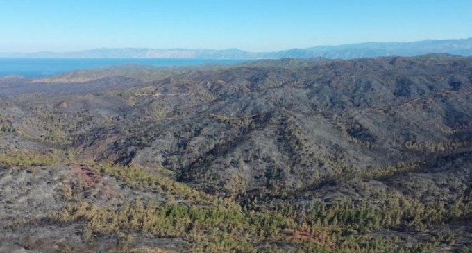 Marmaris’te 4 bin 500 hektarlık orman yandı