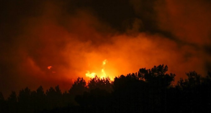 Datça’da yangın kontrol altına alındı: 700 hektar zarar gördü