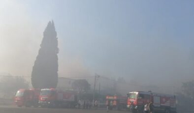 İzmir’deki yangın fabrikalara sıçradı