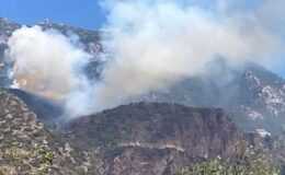 Muğla ve İzmir’de orman yangınları: Evler boşaltıldı, yollar kapandı