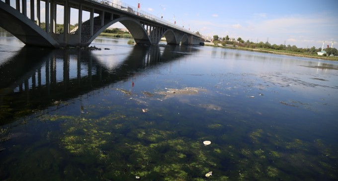 Fırat Nehri çöp akıyor