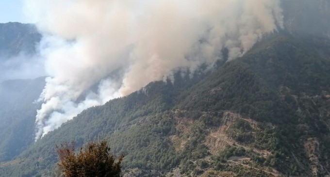 Amanos’taki orman yangını kontrol altına alındı