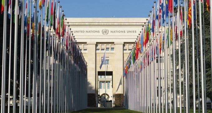 BM raportörleri: Fincancı derhal serbest bırakılsın