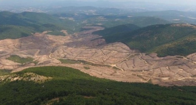 Paris İklim Anlaşması 1 yıldır yürürlükte: Ormanlar yok edildi