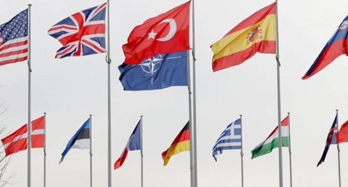 Finlandiya: NATO görüşmelerine ara verilmeli