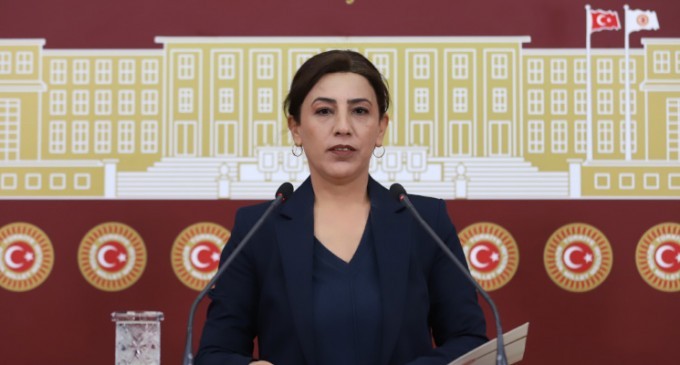 Tecrit paylaşımı yapan HDP’li İmir hakkında fezleke