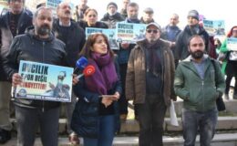 Dêrsim’de yaban hayatının yok edilmesi protesto edildi