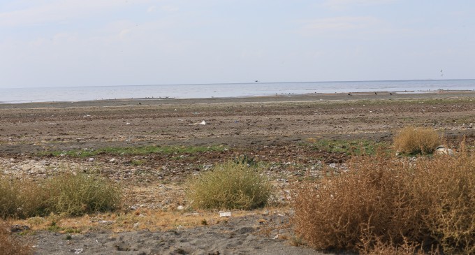 Küresel ısınma ve kirlilik Wan Gölü’nü yok ediyor