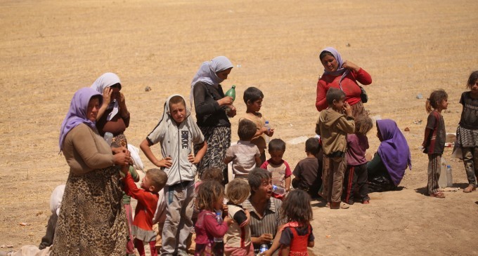 TAJÊ Sözcüsü Elî: KDP, kurtarılan Êzidî kadınları DAİŞ’e teslim ediyor