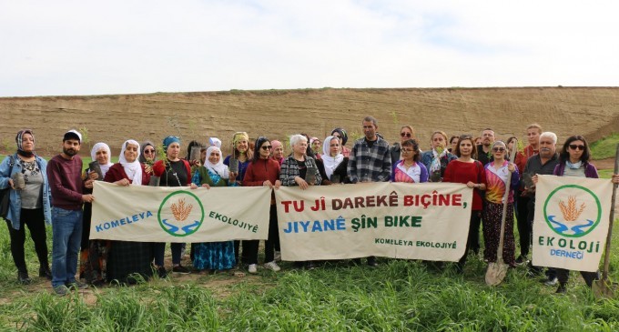 ‘Bir fidanla yaşama sahip çık’ kampanyasının fidan dikim depremzedelere adandı