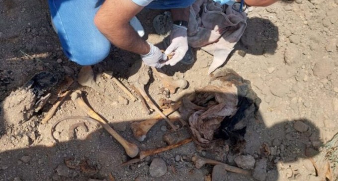 Şengal’de bir toplu mezar daha bulundu